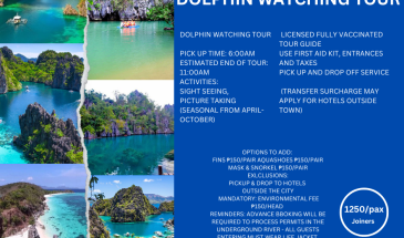 PUERTO PRINCESA DOLPHIN WATCHING TOUR