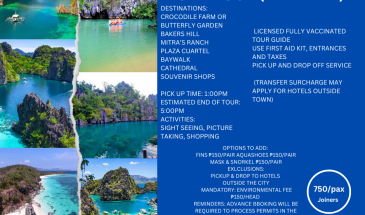 PUERTO PRINCESACITY TOUR (HALF DAY)